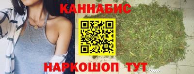 индика Можайск