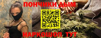 индика Можайск