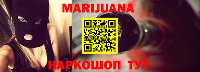 индика Можайск