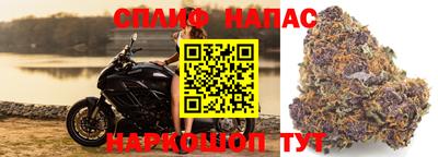индика Можайск