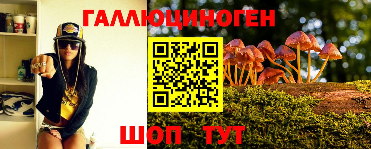 Галлюциногенные грибы Psilocybe Волжск